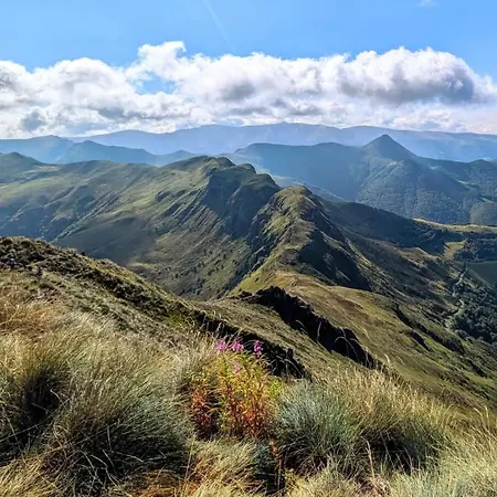La Yourte Serenity Des Volcans *